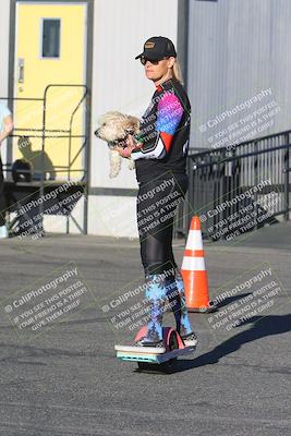media/Feb-23-2025-2WTD (Sun) [[9604a77d5d]]/1-Around the Pits/